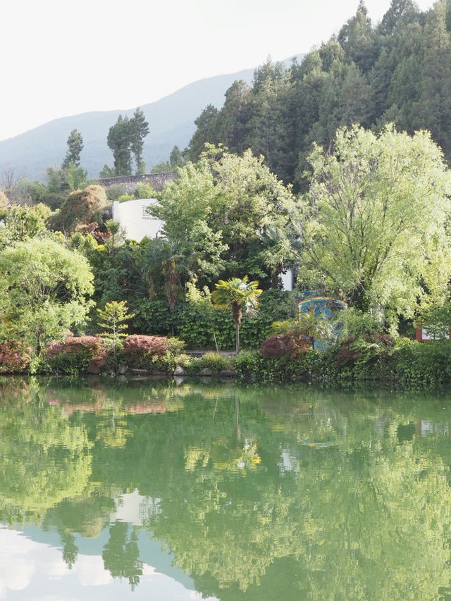 Discover the Colorful Charm of Butterfly Park – A Hidden Gem in Yunnan