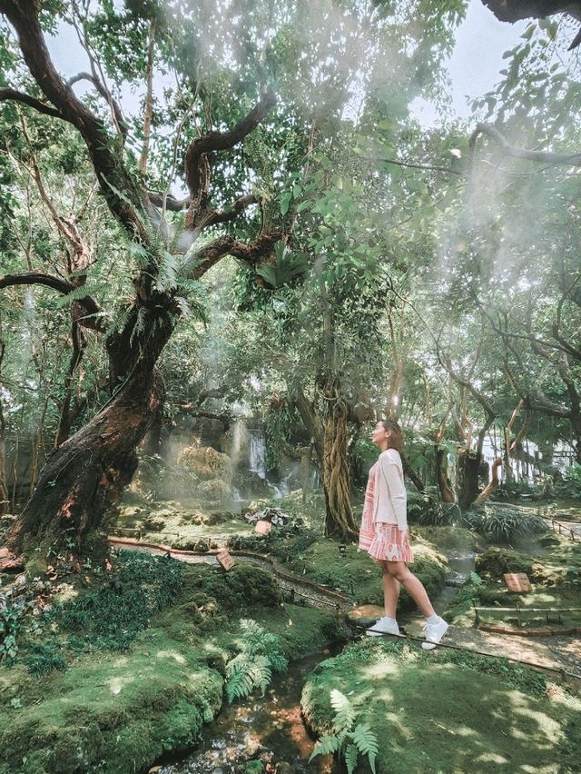 Stepping Into a Fairy Tale in Chiang Mai 🌳🧚‍♀️