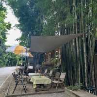 🌲 Yoo Pha – อยู่ป่า 