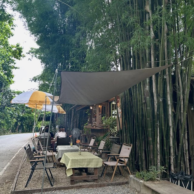 🌲 Yoo Pha – อยู่ป่า 