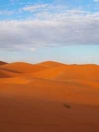 【サハラ砂漠🇲🇦】ラクダと砂漠と星空の旅🐪🌙