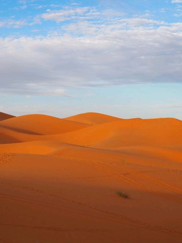 【サハラ砂漠🇲🇦】ラクダと砂漠と星空の旅🐪🌙