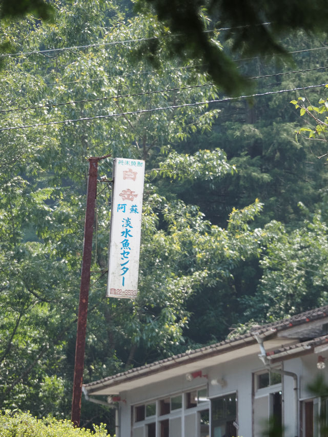 阿蘇のオススメご飯屋さん🇯🇵