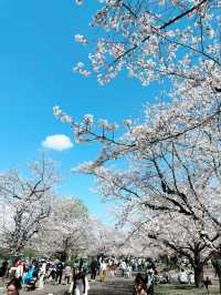 【大阪】万博記念公園