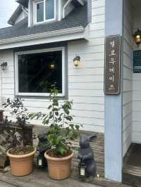 🌸 넓은 정원에서 즐기는 여유와 맛있는 스콘, 멜로우데이즈