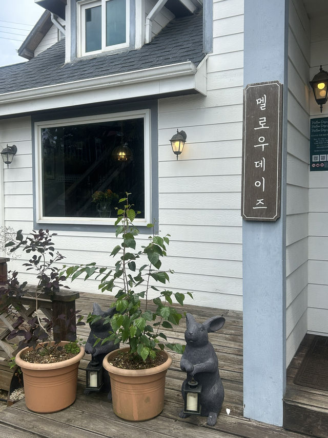 🌸 넓은 정원에서 즐기는 여유와 맛있는 스콘, 멜로우데이즈