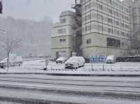 🌨️ Tatami Comfort & Snowy Charm – A Cozy Stay at Toya Kohantei Hotel