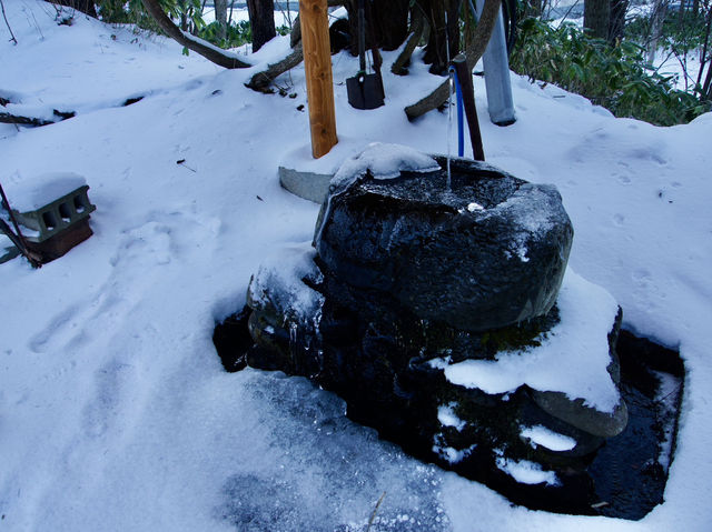 🌨️ Mystical Morning at Jozankei Shrine