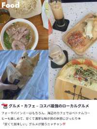 【夏休みにおすすめ🌻】ベトナムの穴場スポット🇻🇳ニャチャン