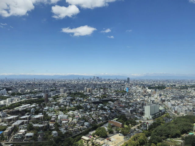 My Family Fun Day at Higashiyama Zoo and Botanical Gardens in Nagoya! 🦒🐨