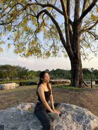 Good vibes ที่เชียงใหม่⛰️🌳💚 