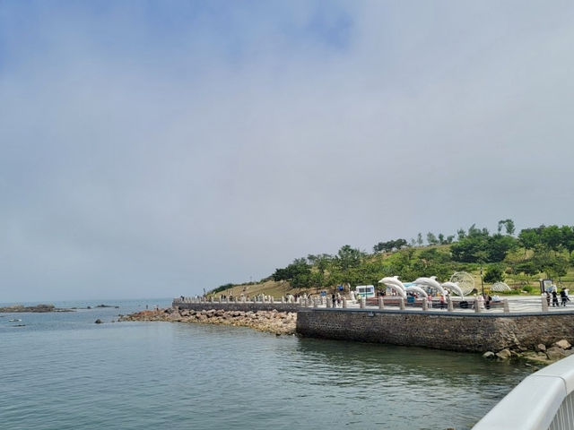 🌾잔잔한 바다 위 섬 산책, 칭따오 小麦岛에서 힐링하기🌊