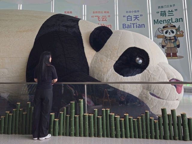 대련 동물원 여름 방문 꿀팁