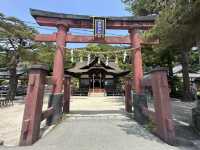 日本關西自駕遊 | 滋賀縣 | 白鬚神社