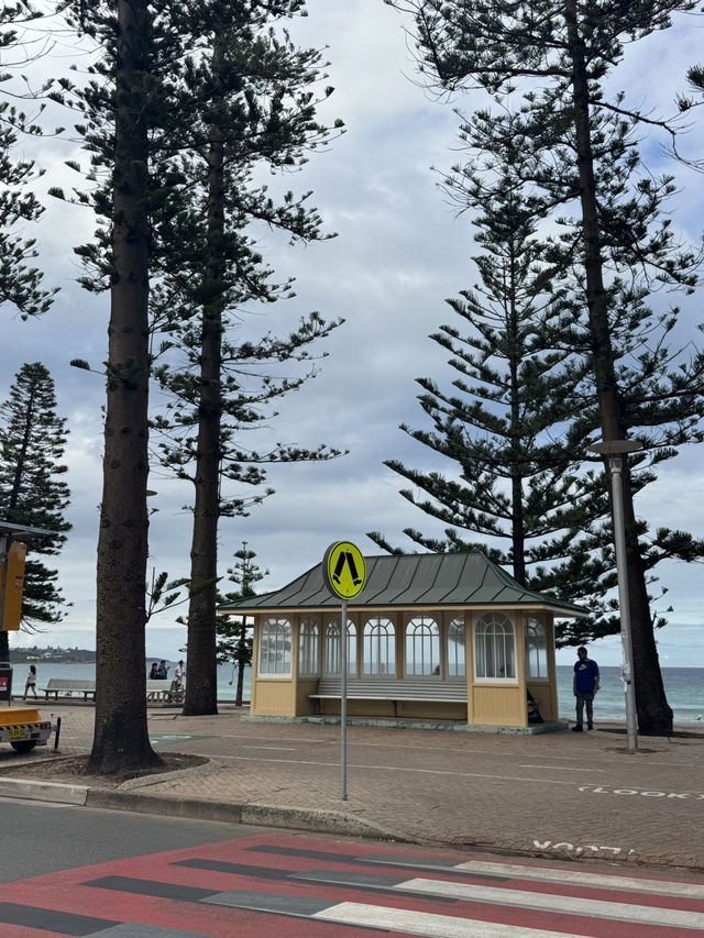 🇦🇺✨ 4D3N in Sydney | Chill City Life, Beaches & Coffee Stops ☕🏖️🌿