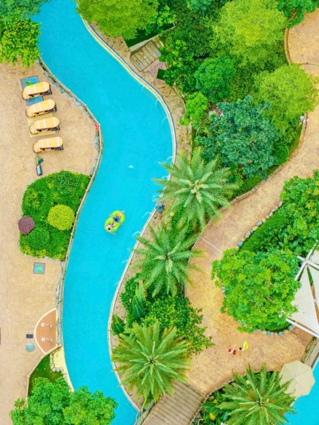 🌊🌴 Forest Sea Water Park, Zengcheng – Hidden Aqua Paradise in Guangzhou! 💦☀️