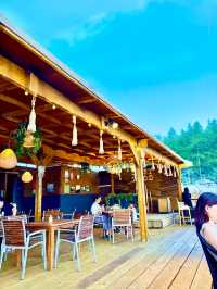 【夏本番の鎌倉 若宮大路-由比ヶ浜-材木座海水浴場お散歩おすすめ海の家】