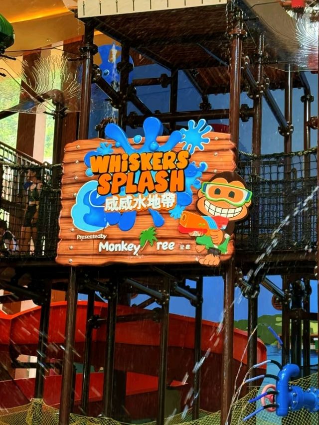 🎡🌊 Ocean Park Hong Kong – Thrills, Views 