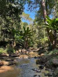 Jungle Trek & Waterfall Magic