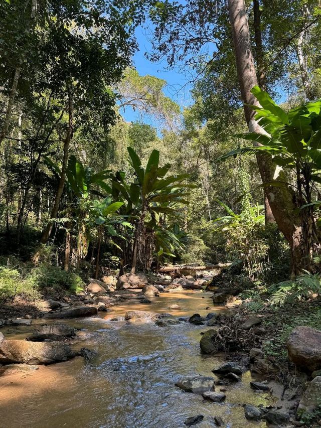 Jungle Trek & Waterfall Magic