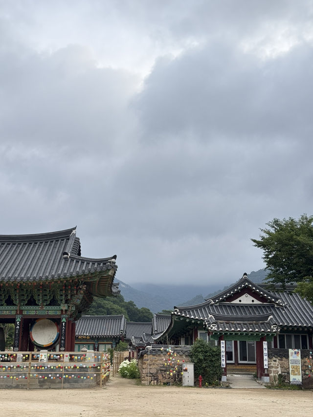 법주사에서 시원하게 여름휴양하기