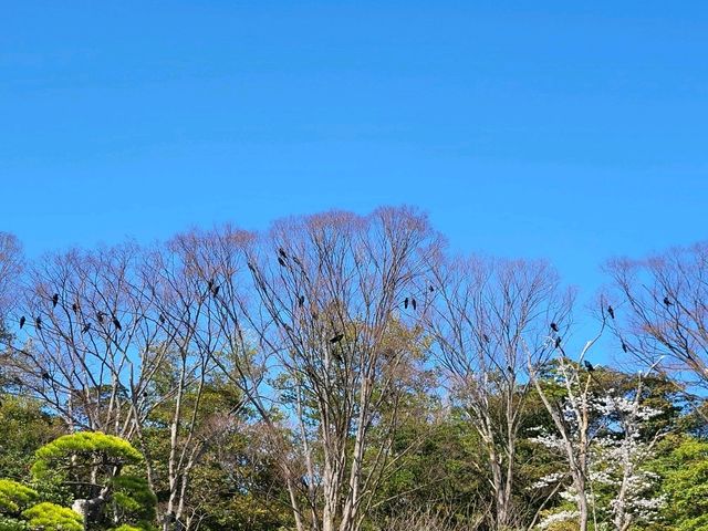 大阪市郊的親子友善景點/萬博紀念公園