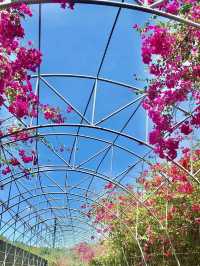 Celestial Garden