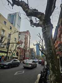 Day 3 in Shanghai:วันแห่งความปังทั้งมู กิน ถ่ายรูป