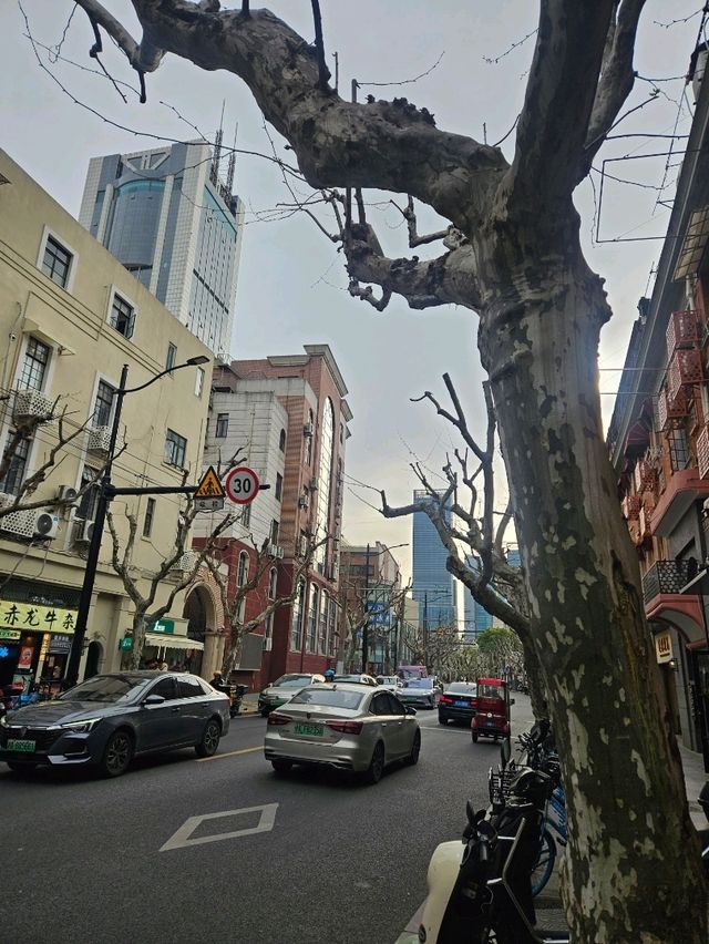 Day 3 in Shanghai:วันแห่งความปังทั้งมู กิน ถ่ายรูป