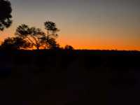 Kings Canyon Resort