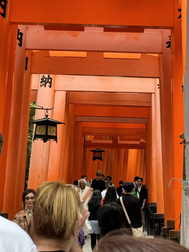 📍 走進神秘的紅色隧道——大阪的稻荷神社千本鳥居體驗記