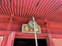 Explore the Heart of Tokyo at Ueno Park