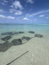 Love in the Maldives: The Ultimate Couples’ Escape