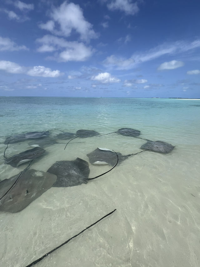 Love in the Maldives: The Ultimate Couples’ Escape