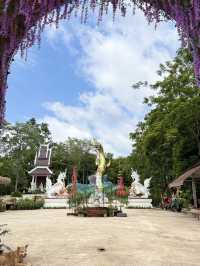 วัดอุทยานธรรมหนองบัวแดง ถ้ำนาคา เขมราฐ