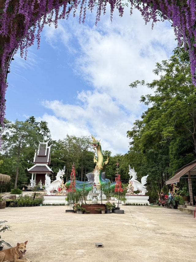 วัดอุทยานธรรมหนองบัวแดง ถ้ำนาคา เขมราฐ