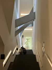 The Weight Of Absence: A Museum Of Voids And Voices