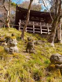 Summer Visit to Otagi Nenbutsuji Temple (愛宕念仏寺) – Kyoto’s Whimsical Stone Buddha Haven** 🗿🌿