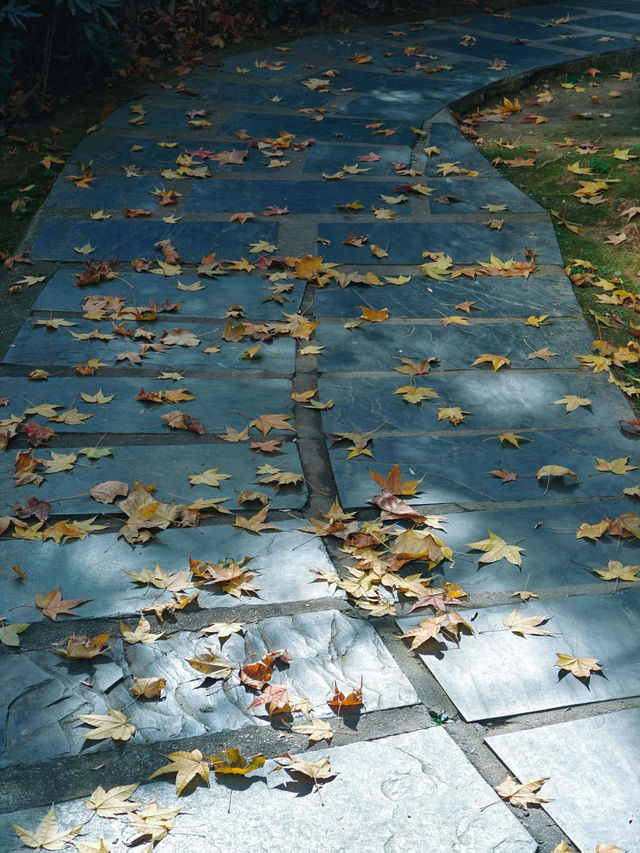 南京必遊景點 明孝陵園區