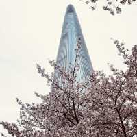 Solo Serenity at Seokchon Lake: Seoul’s Cherry Blossom Paradise** 🌸🚶♀️   