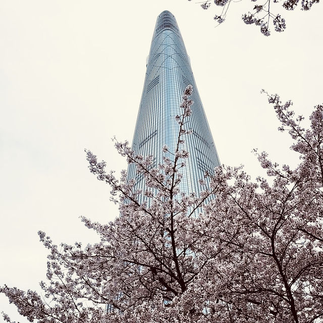 Solo Serenity at Seokchon Lake: Seoul’s Cherry Blossom Paradise** 🌸🚶♀️   