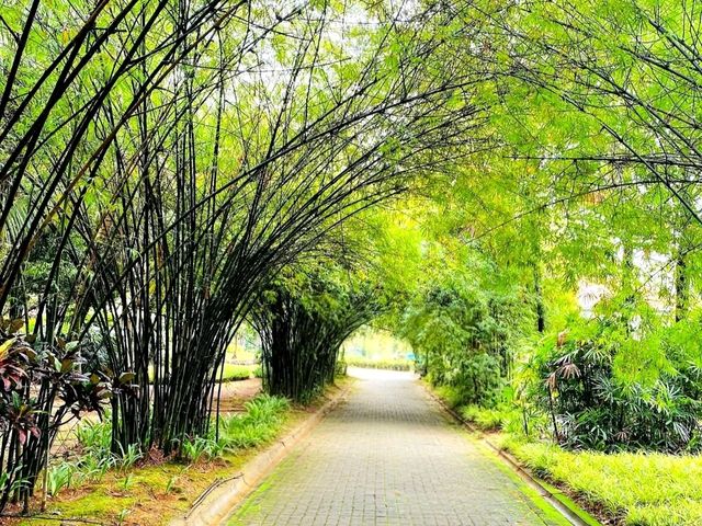 Putrajaya Wetlands Park – Nature’s Quiet Escape in the City