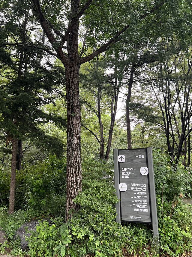 공원의 이모저모
