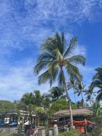 💎 Jelly Blue Dream: Island Hopping from Phuket 🌊🌴