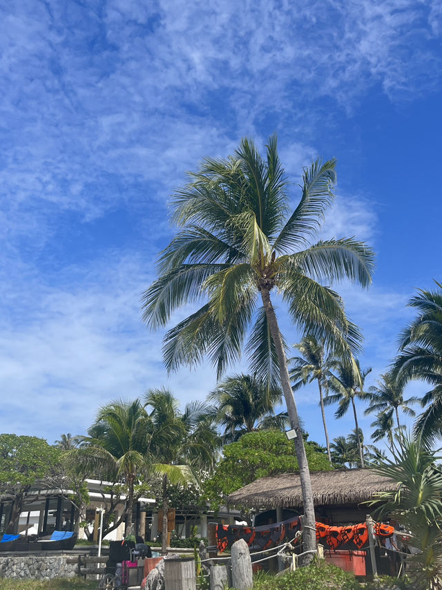 💎 Jelly Blue Dream: Island Hopping from Phuket 🌊🌴