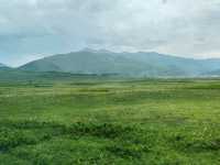 Hemu: A Serene Painting of Verdant Valleys