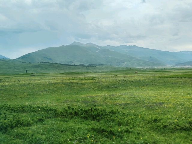Hemu: A Serene Painting of Verdant Valleys