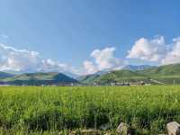 Tangbula Suporise Hotel: Where Modern Comfort Meets Mountain Majesty