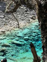 Aqua Terror: Jiuzhaigou’s Liquid Jade Insurgency