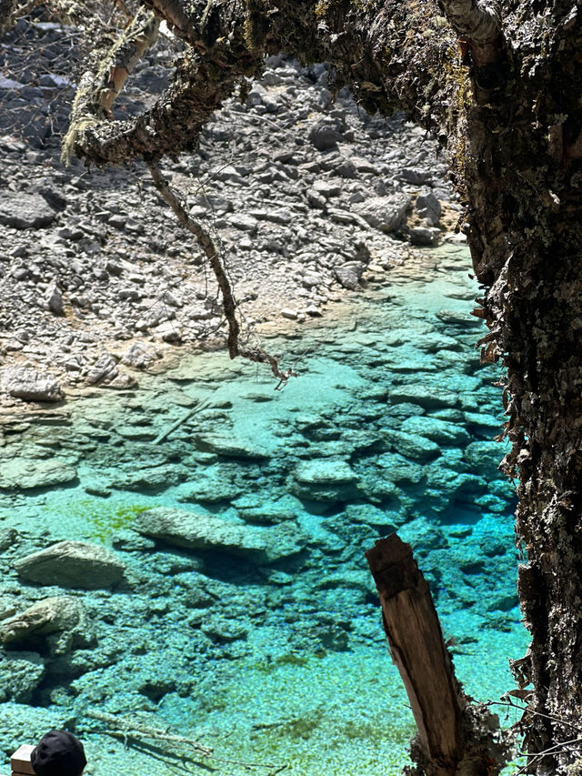 Aqua Terror: Jiuzhaigou’s Liquid Jade Insurgency